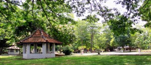 The University of Colombo, Faculty of Art