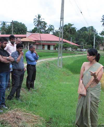 A microbial bio-fertilizer to replace 50% urea usage in rice