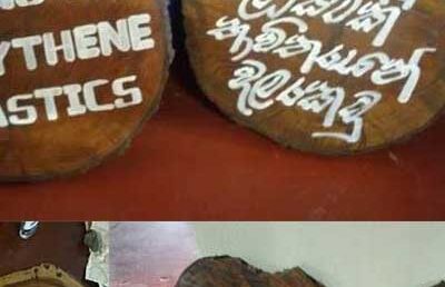 General Awareness – Center for Environmental Initiatives (CEI)