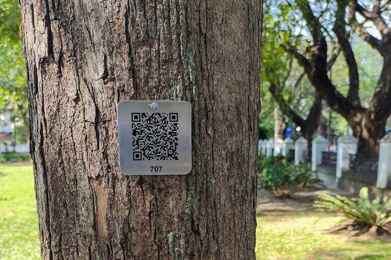 Tree Inventroy Collection Digitalization of Tree Inventory | University of Colombo, Sri Lanka