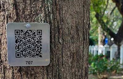 Digitalization of Tree Inventory