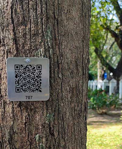 Digitalization of Tree Inventory