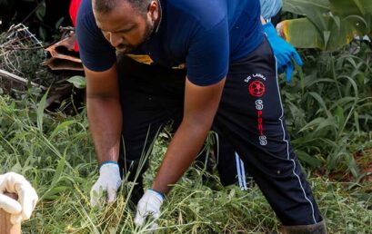 University of Colombo Celebrates Environment Month 2026