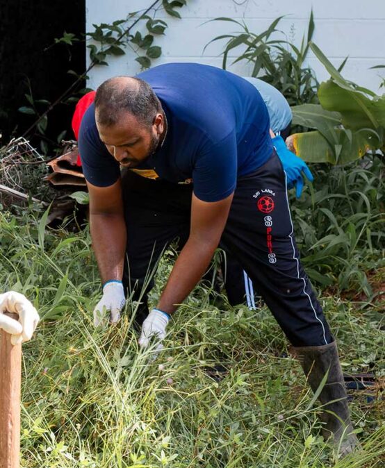 University of Colombo Celebrates Environment Month 2026