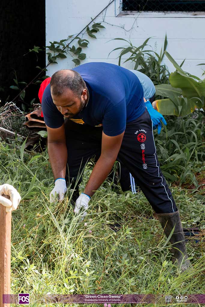University of Colombo Celebrates Environment Month 2026