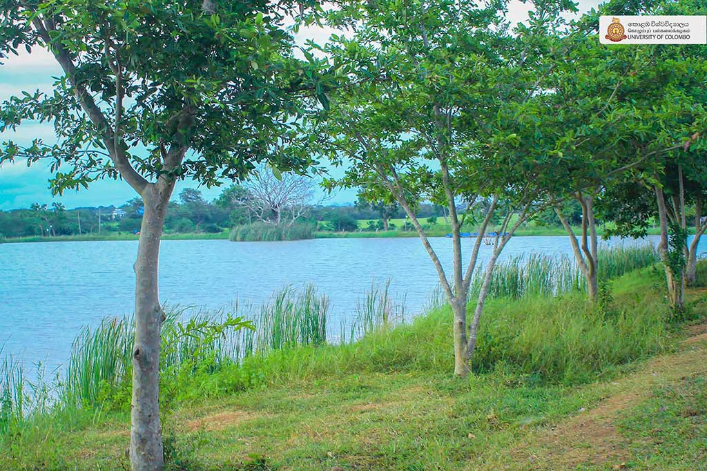 Where Nature Meets Innovation: Life at UCIARS, Waligatte
