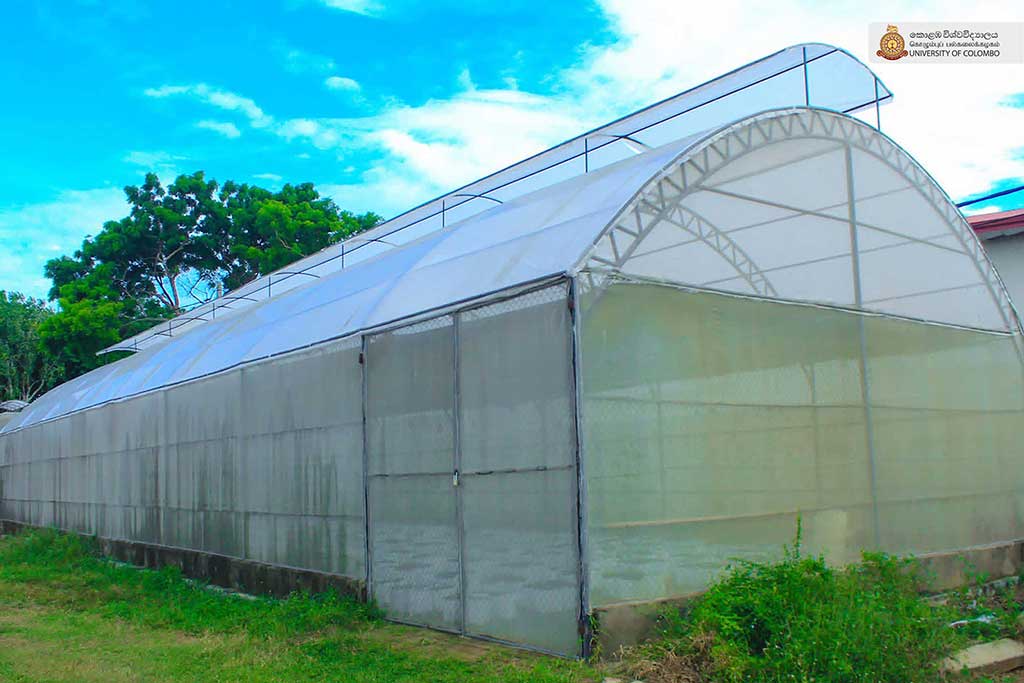 Where Nature Meets Innovation: Life at UCIARS, Waligatte
