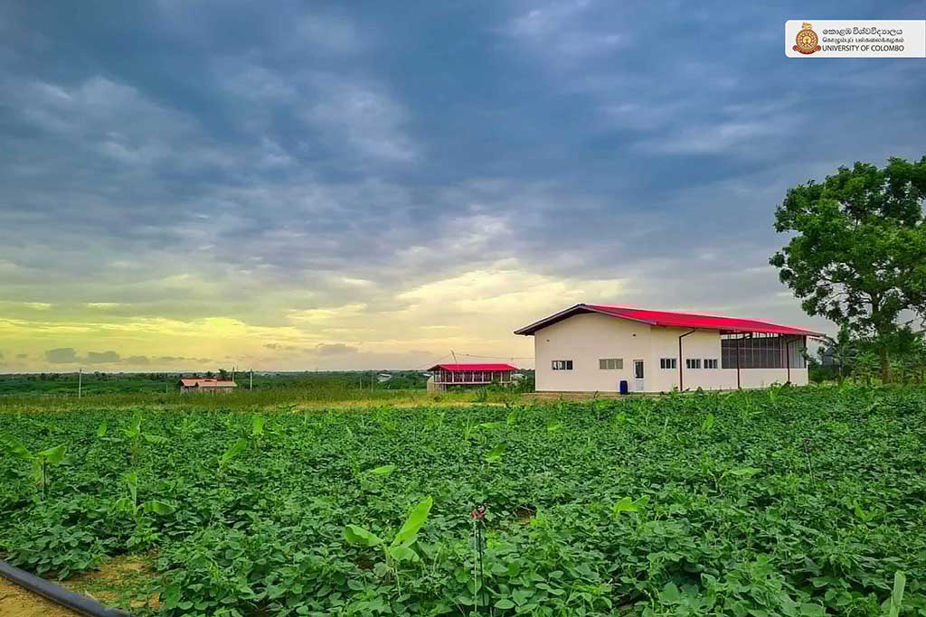 Where Nature Meets Innovation: Life at UCIARS, Waligatte