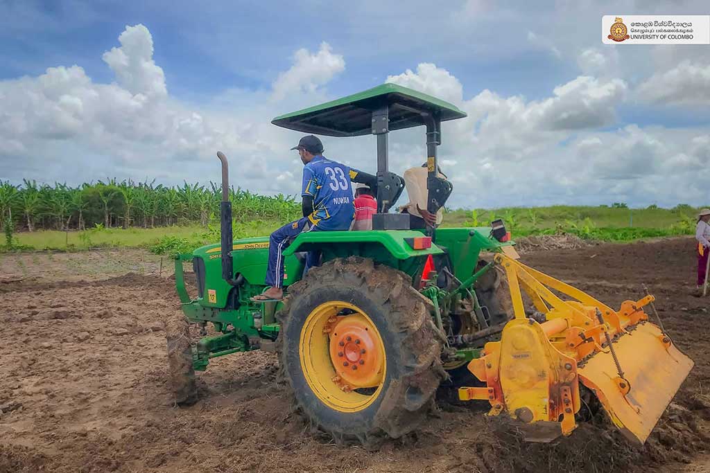 Where Nature Meets Innovation: Life at UCIARS, Waligatte