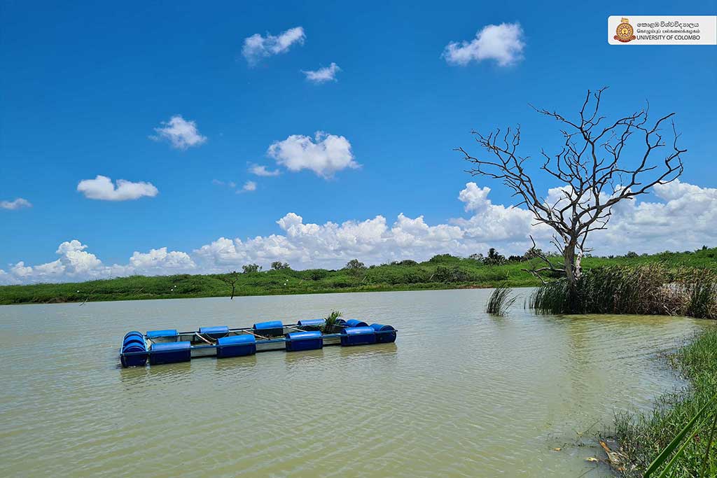 Where Nature Meets Innovation: Life at UCIARS, Waligatte