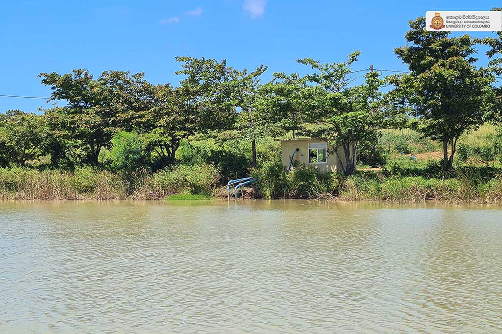 Where Nature Meets Innovation: Life at UCIARS, Waligatte