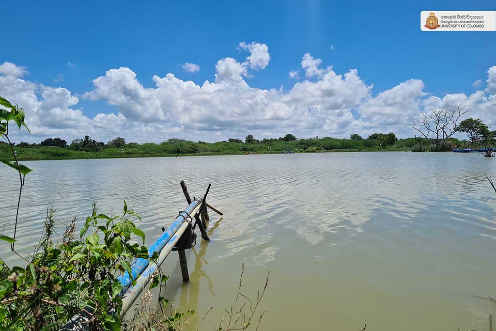 Where Nature Meets Innovation: Life at UCIARS, Waligatte