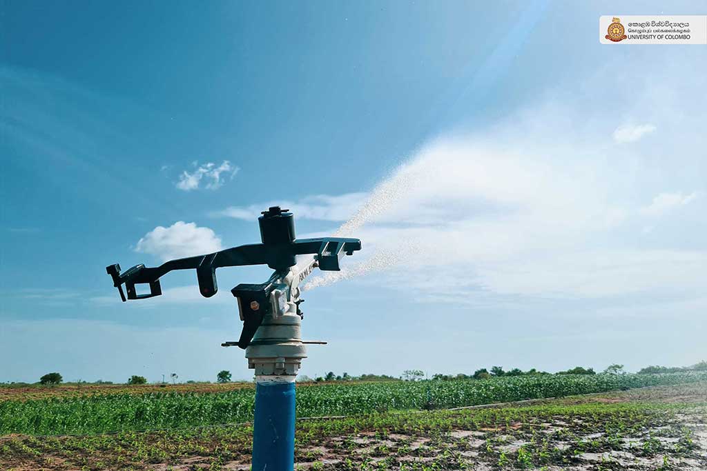 Where Nature Meets Innovation: Life at UCIARS, Waligatte