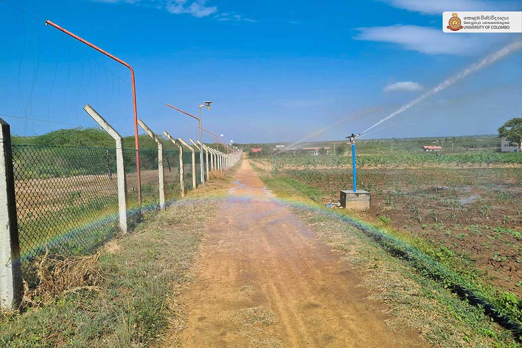Where Nature Meets Innovation: Life at UCIARS, Waligatte