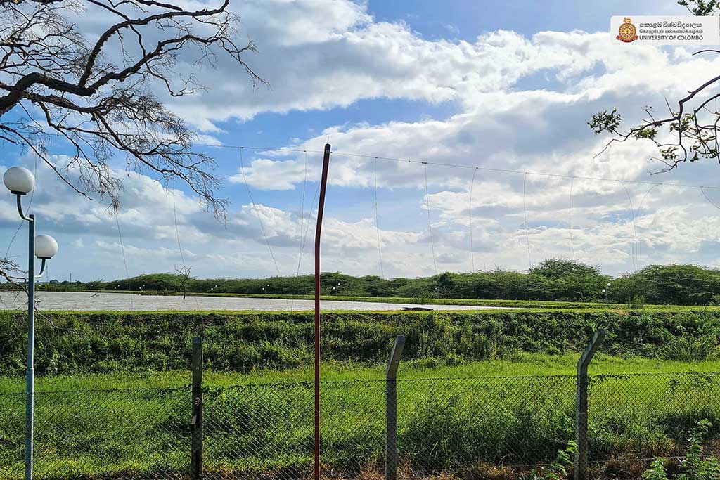 Where Nature Meets Innovation: Life at UCIARS, Waligatte