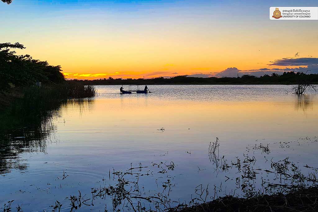 Where Nature Meets Innovation: Life at UCIARS, Waligatte