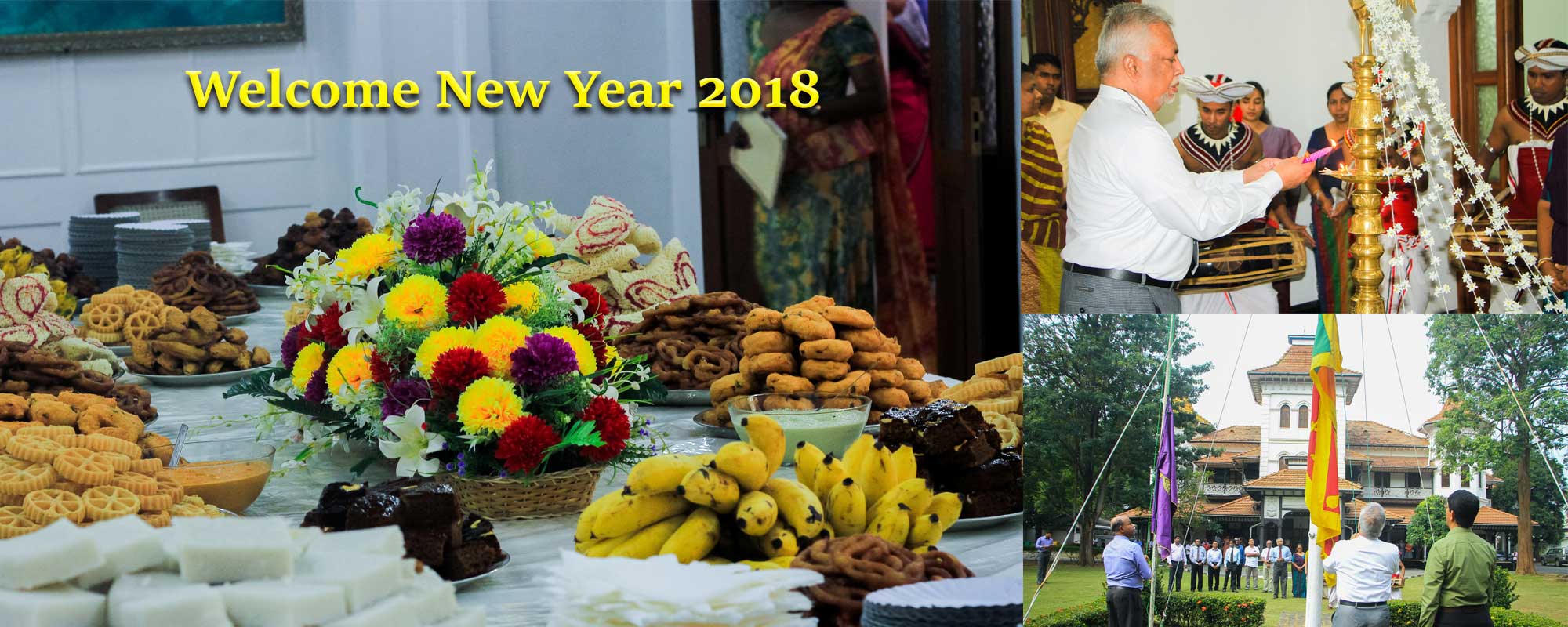New Year Celebration 2018