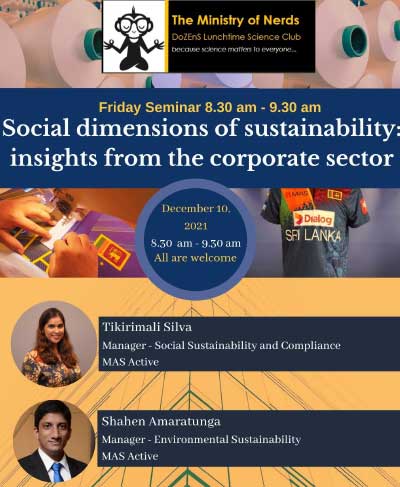 Social Dimensions of Sustainability; Insights from the Corporate Sector