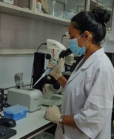 Tropical Medicine Research Center (TMRC) Project