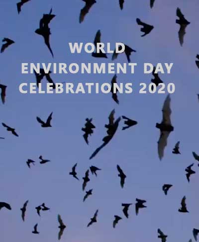 World Environment Day 2020